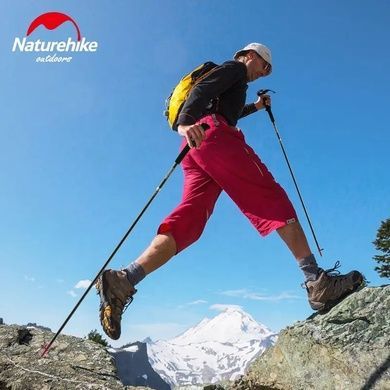 Трекінгові палиці Naturehike ST08 Carbon 4-сек. (пара) 110 см NH18D020-Z бордовий 6927595748527 фото