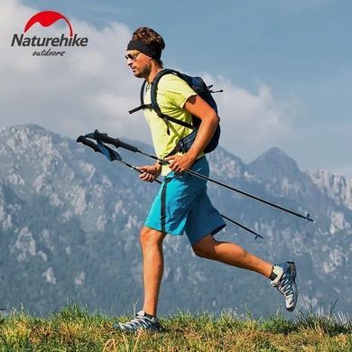 Трекінгові палиці Naturehike ST08 Carbon 4-сек. (пара) 120 см NH18D020-Z бордовий 6927595748534 фото