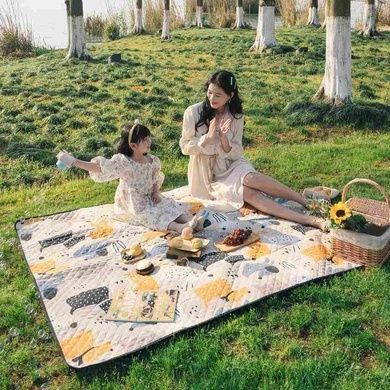 Килимок для пікніка Naturehike Picnic mat L 210х240 NH21FCD01 geometry 6927595774175 фото