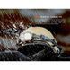 Ліхтар налобний Fenix HP35R SAR з вогнетривкою пов'язкою HP35RSAR &ndash; фото 21