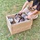 Відро складане прозоре Mobi Garden Bucket 10л NX23690001 sand 6941870590700 &ndash; фото 10