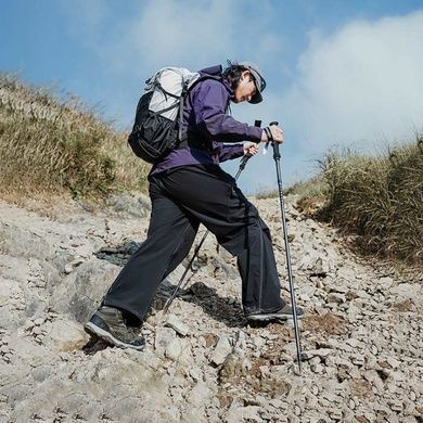 Треккинговые палки Naturehike CNK2450DS017 35-110 см black 6927595785416 фото