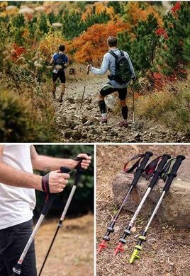 Трекинговые палки Naturehike Carbon Aluminum 3-сек. (пара) NH17D006-D black 6927595723654 фото