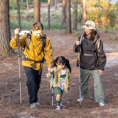 Трекінгові палиці Naturehike ST 01 6061 3-с. UPD (пара) NH17D001-Z золотий 6975641885658 фото